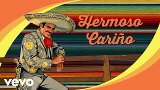 Vicente Fernández - Hermoso Cariño (Letra / Lyrics)