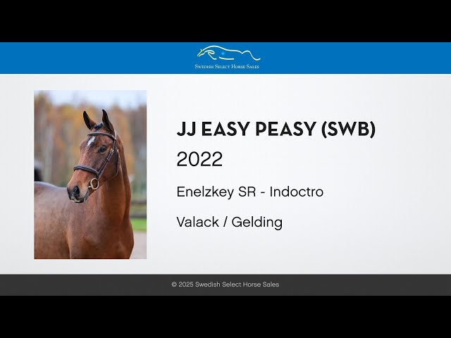 JJ Easy Peasy - Gaits