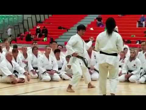 Gashuku 2017 Limerick Irlanda