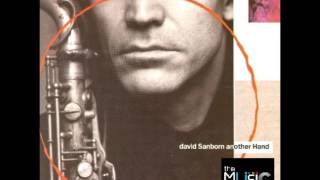 Straight to the Heart ❉ DAVID SANBORN [vinyl cut]
