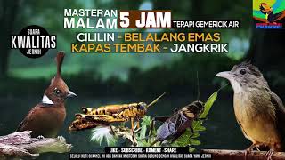 Download lagu REQUEST MASTERING #18..DURASI 5 JAM MASTERAN MALAM CILILIN BELALANG EMAS JANGKRIK KATEM SUARA JERNIH mp3