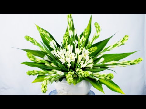 Cách cắm hoa để bàn thờ bình hoa huệ để bàn thờ đơn giản chi tiết nhất