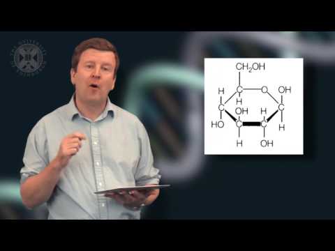 1.5. ASTROBIO - The Structure of Life: Building Blocks