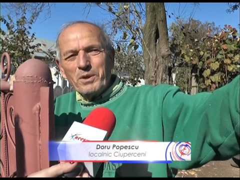 Mistretii au facut prapad la Ciuperceni