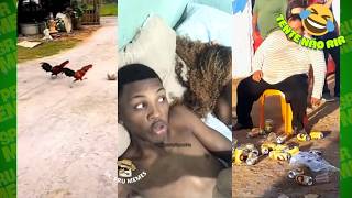 Os vídeos + Engraçados BR #3 TENTE NÃO RIR! 😂 Se Você Rir... Já Sabe! Memes Engraçados do Mundo