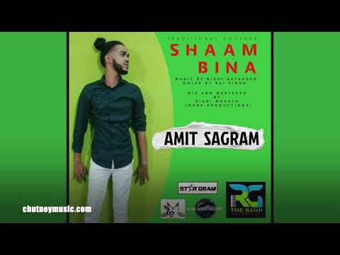 Amit Sagram - Shaam Bina (2020 Traditional Chutney Music)