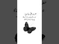 Love Account Edit Urdu Song Arabic Poetry Oobiwrites Urdumusic Islamicbackgroundvocals
