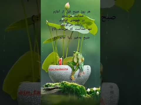 صبح شد خیر است....