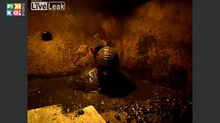 Serbia Septic