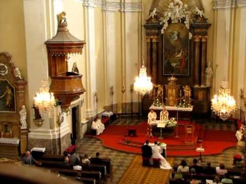 Neseme, Pane, chléb a víno  - schola Pozořice "Pošukov" (svatba Jany a Mirka-11.9.2010)