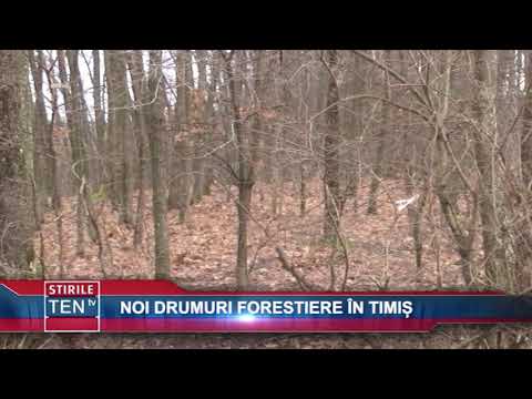 NOI DRUMURI FORESTIERE IN TIMIS - 19 MARTIE 2018
