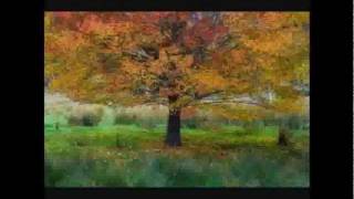 Libera  In Dulci Jubilo  (sweet rejoicing) Album 1997 edited 2011