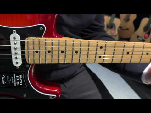 Fender Player Strat Plus Top Review -  Rimmers Music
