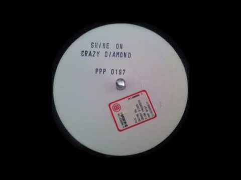 the Pink Progressive Project - Shine On Your Crazy Diamond