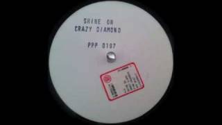 the Pink Progressive Project - Shine On Your Crazy Diamond