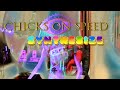 Chicks on Speed - Synthesize (Official Video)