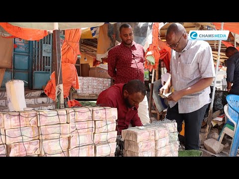 Open-Air Money Market in Somaliland Streets