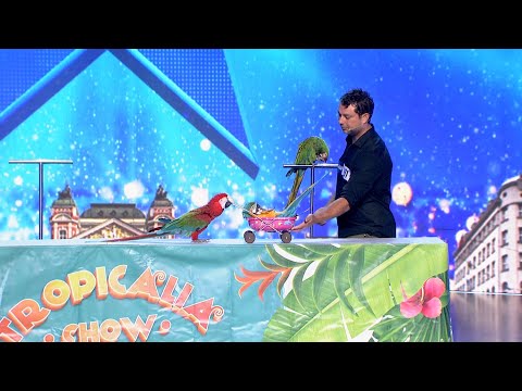 България търси талант: Най-неочакваните изпълнения до момента