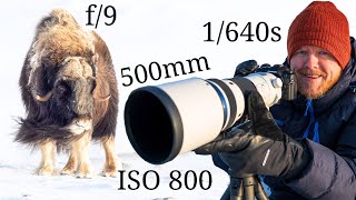 OM System OM-1 & M.Zuiko 150-400mm f/4.5 | Wildlife Photography