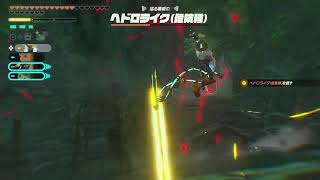 【スイッチ２】ゼルダ無双封印戦記【のんびり】