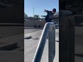 Ollie north down 4 stair