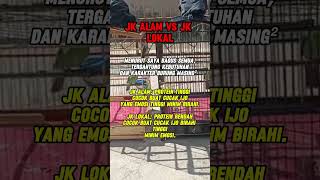 Download lagu jangkrik untuk cucak ijo mp3