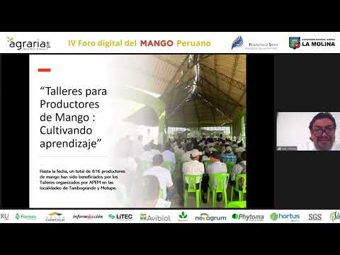 Condiciones favorables para la floración de mango en campaña 2024/2025 - Ing. Iván Vílchez, presidente de APEM