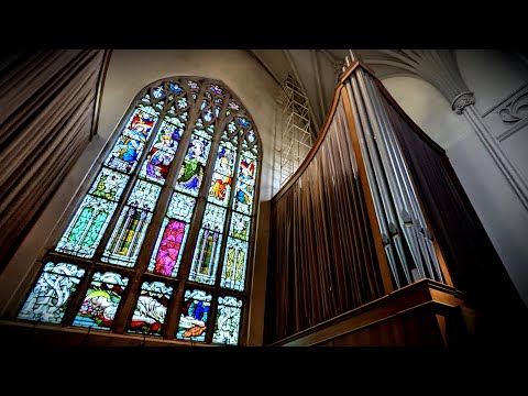 2022 Christopher Soer Organ - Cathedral of St. Peter - Belleville, Illinois
