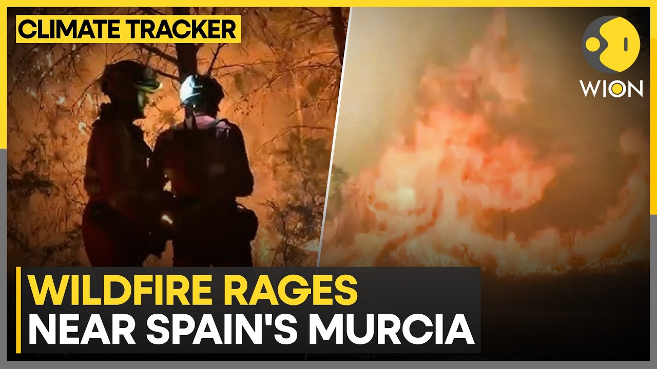Spain Wildfires: Wildfire Rages Near Spain’s Murcia As Record Heat Sparks Crisis | WION News