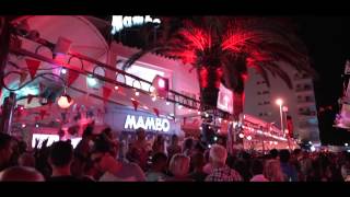 Lovely Laura Klingande and Basement Jaxx at Cafe Mambo 2015