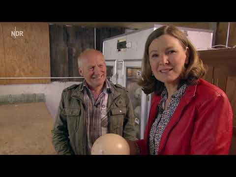 Landpartie   Im Norden unterwegs - Hohwachter Bucht