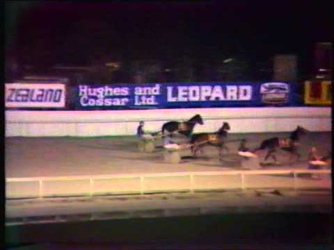 1983 Interdominions - Pacers' 4th Heat, Alexandra Park, Auckland: Wondai's Mate