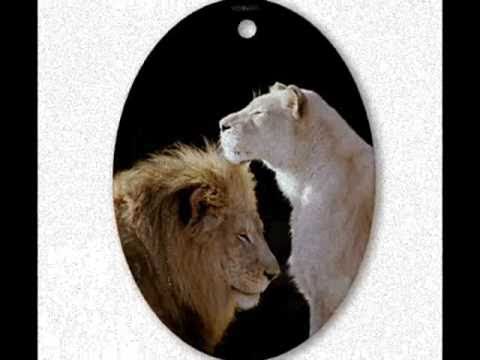 ONLY YOU  Shaggy ft Barrington Levy (ft Lyrics!) -- VERAMENTE...SOLO TU!!!