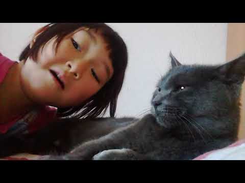 5 октября 2019 г.