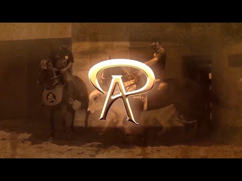 AP 104 Vaquejada Parque Oliveira Diógenes Jaquaretama CE