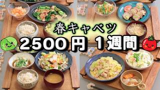 - オープニング - 【夜ご飯 1週間献立】春キャベツで節約レシピ 5日の献立 おかず2500円　(´・ω・`)（●｀ε´●）2人暮らし(3月)(525)