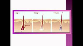 Before You Spend Money on Laser Hair Removal.... watch this video!