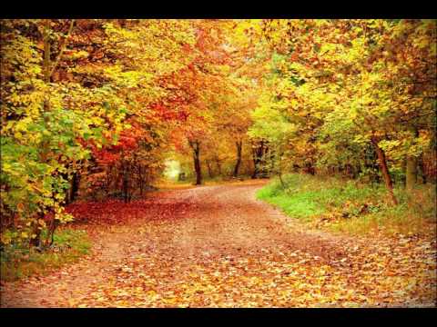 Les feuilles mortes - Yves Montand ( Cover by Paul LEONI)