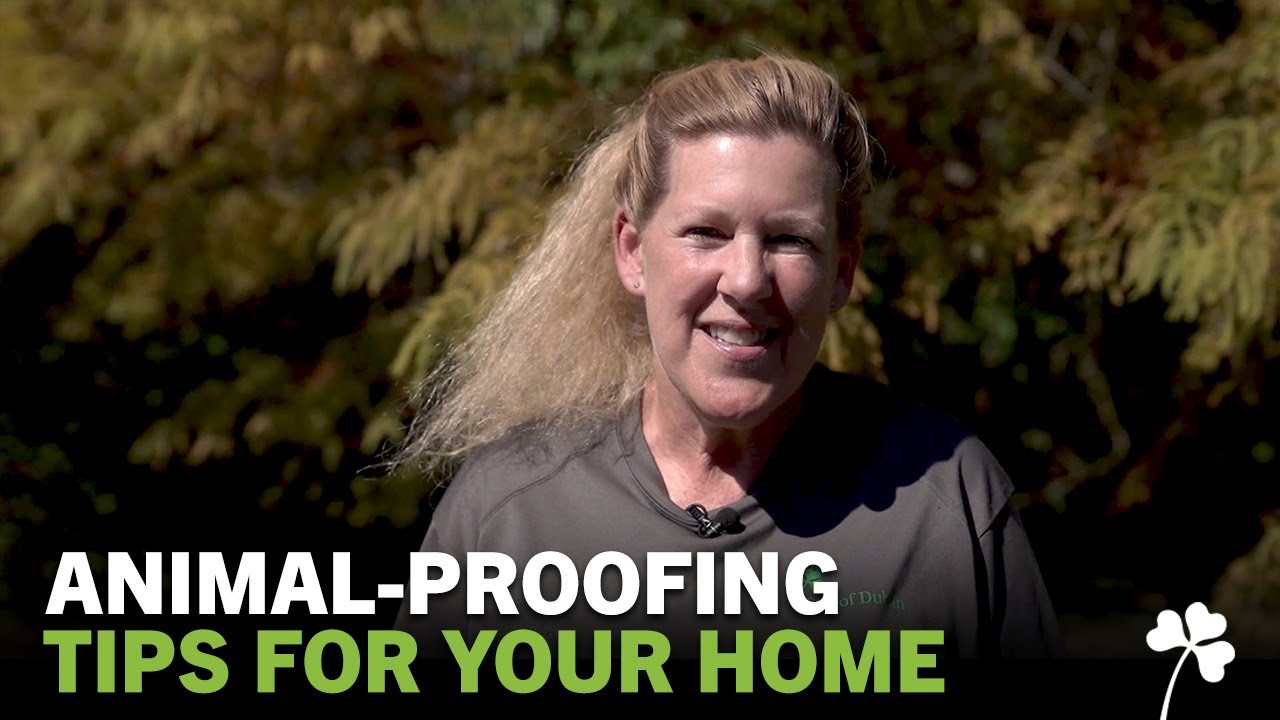 Dublin's Backyard with Barbara Ray: Animal Proof Your Home