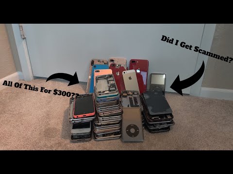 $300 100+ IPhone/IPod Lot