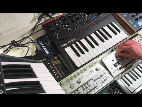 Acid Pulse (Korg Monologue Roland TB-03 TR-09 TR-8 TT-303)