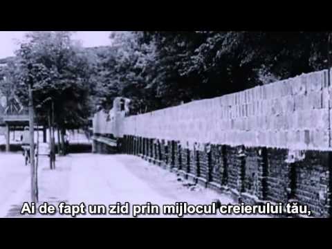 Documentar – Inteligența, interzisă