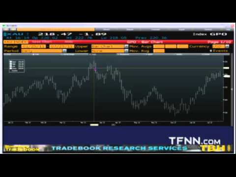 July 25 Daily Stock Market Recap by TFNN - 2011