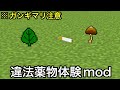 【マイクラ】海外で作られた意味不明すぎるMod3選.. 〜何故作られたか理解できない謎MODが妙にクオリティ高い件〜【マインクラフト】【まいくら】【検証】