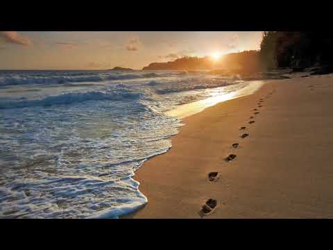 The Highstool Prophets - Somebody