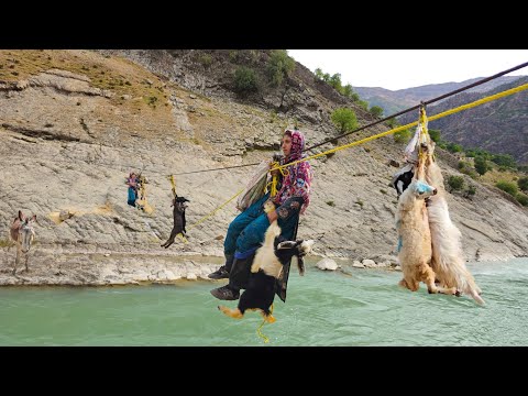 Nomadenleben: Mutige Nomadenmädchen überqueren den Fluss | Überlebensträume nomadischer Mädchen🏔️🐐