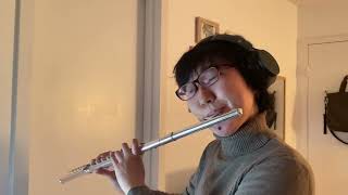 Download lagu 光さす庭 (Hikari Sasu Niwa) || 少女革命ウテナ Revolutionary Girl Utena OST || flute cover by ear mp3