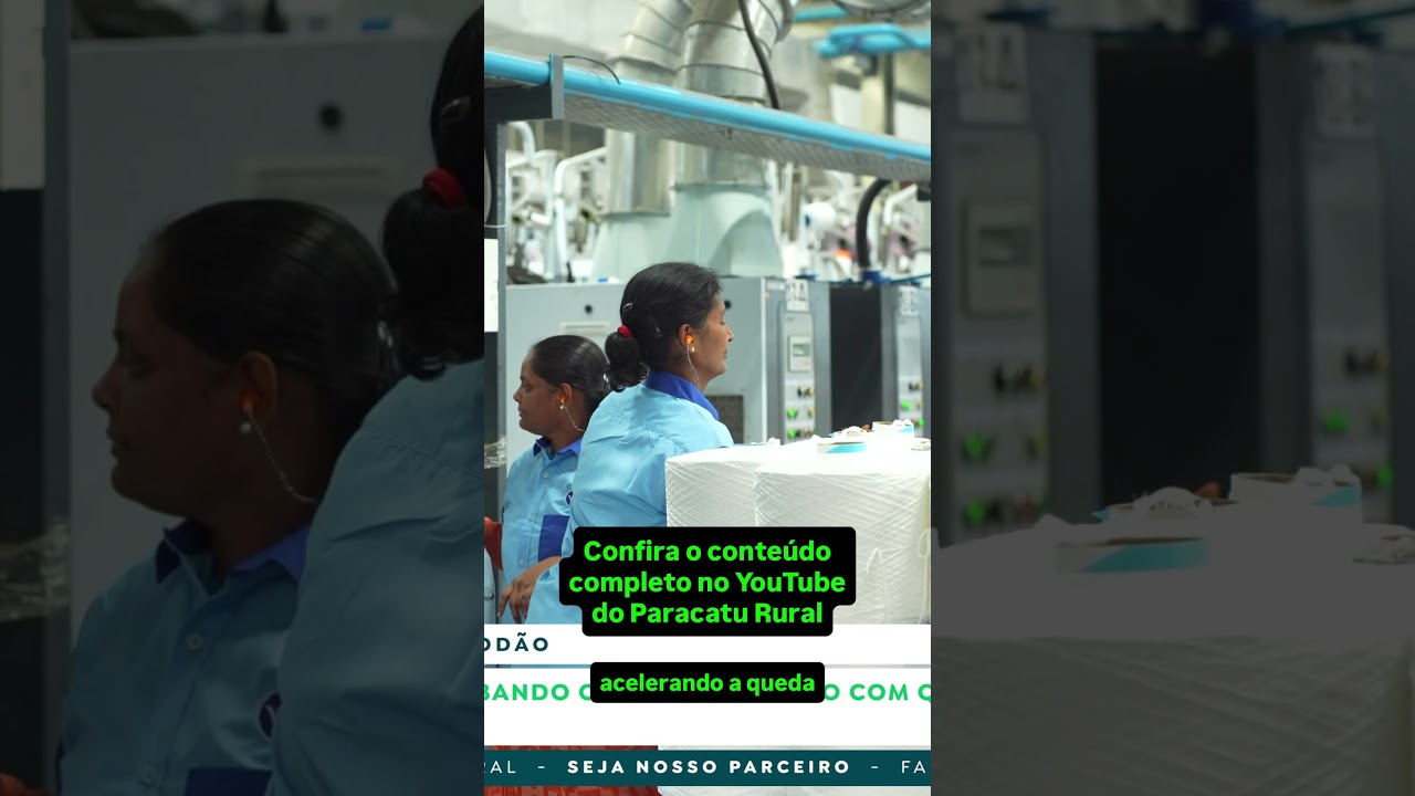 O Que Derruba o Algodão? Quebra nos EUA e o Impacto do Uzbequistão no Mercado.