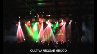 DUB SYNDICATE   WADADA   4TO  MICTLAN DUB FEST   CULTIVA REGGAE