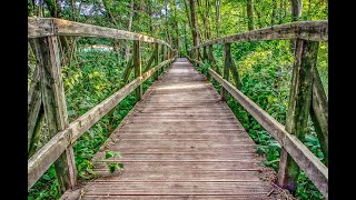 L'UNIVERS DE BRESLEV